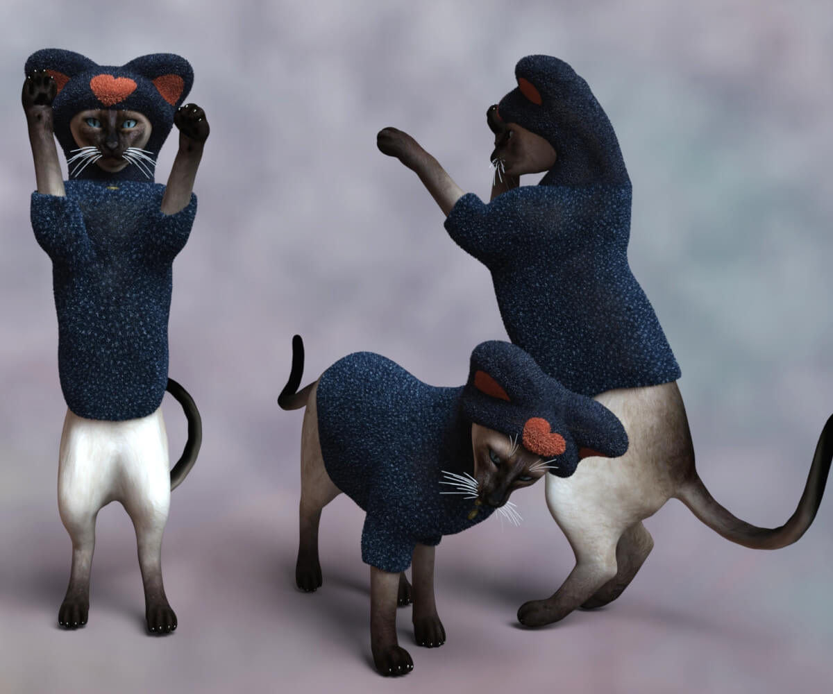 Fuzzy Coat for DAZ Housecat Daz Content
