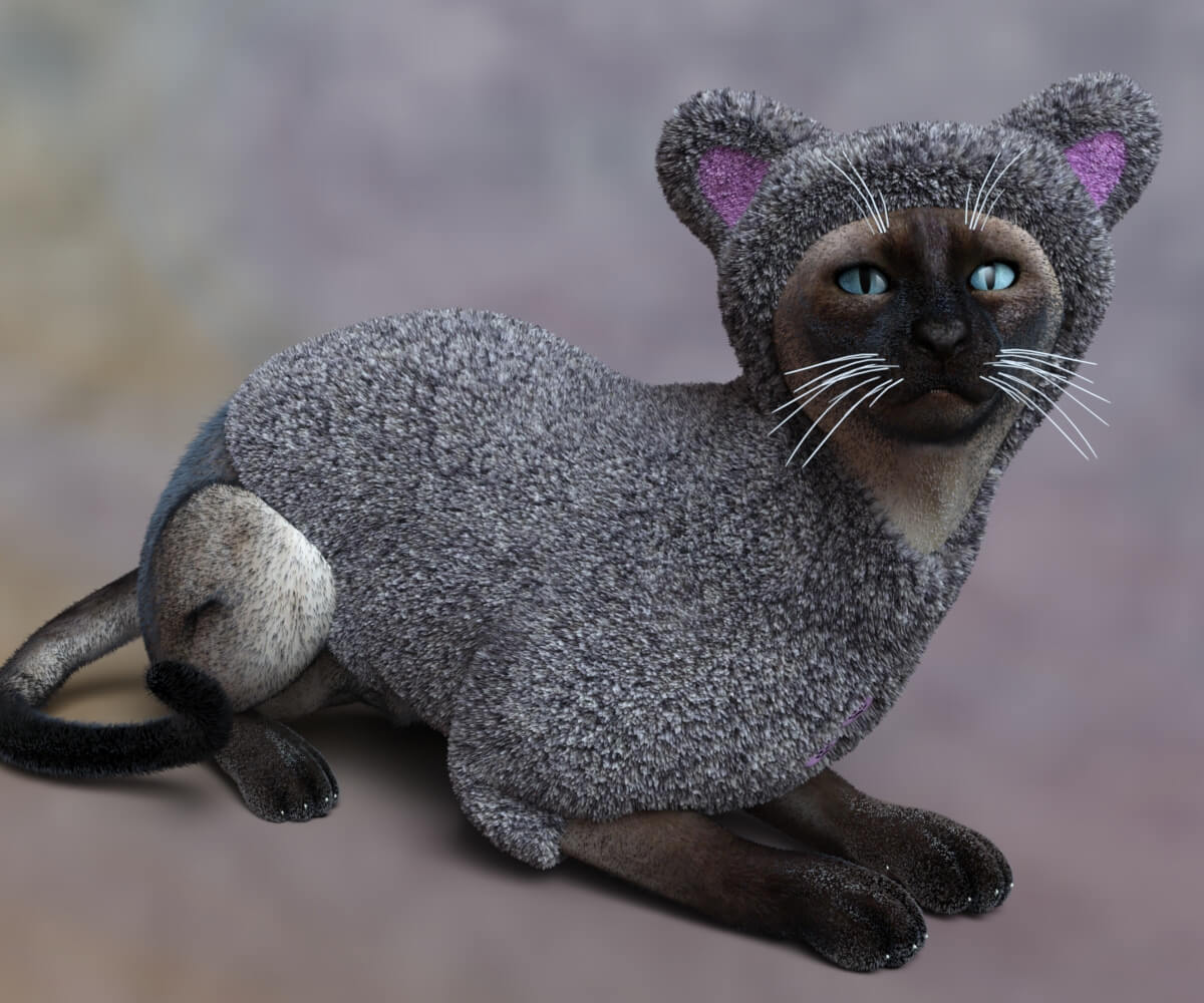 Fuzzy Coat for DAZ Housecat Daz Content