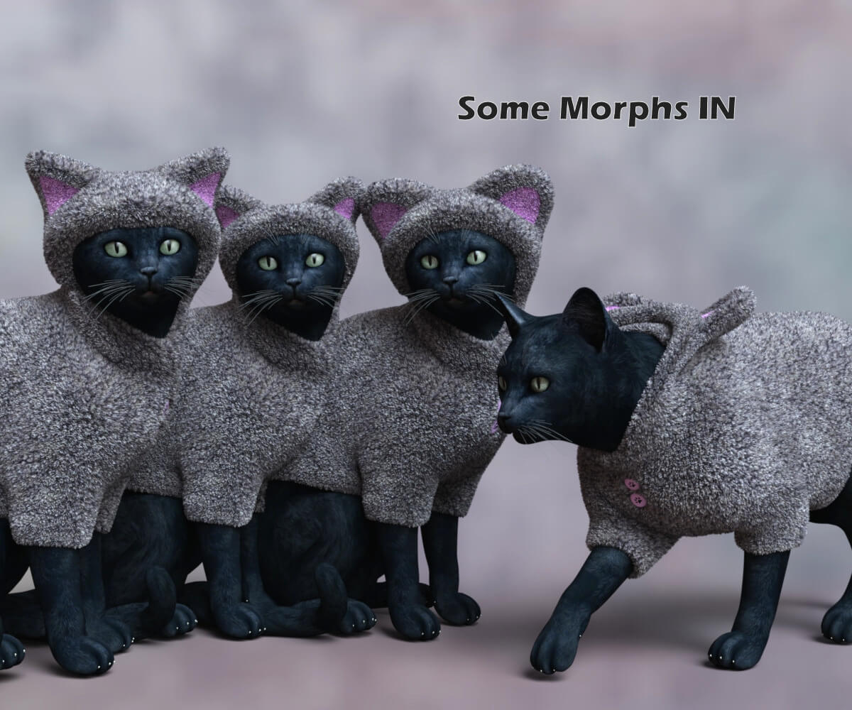 Fuzzy Coat for DAZ Housecat Daz Content