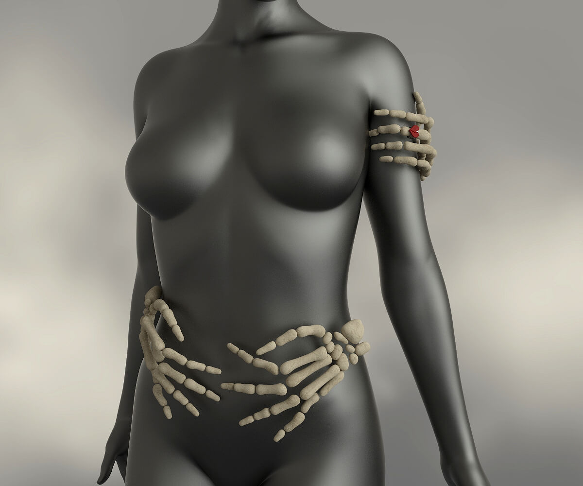 Skeleton Hands Genesis 8 / 8.1 Female Daz Content