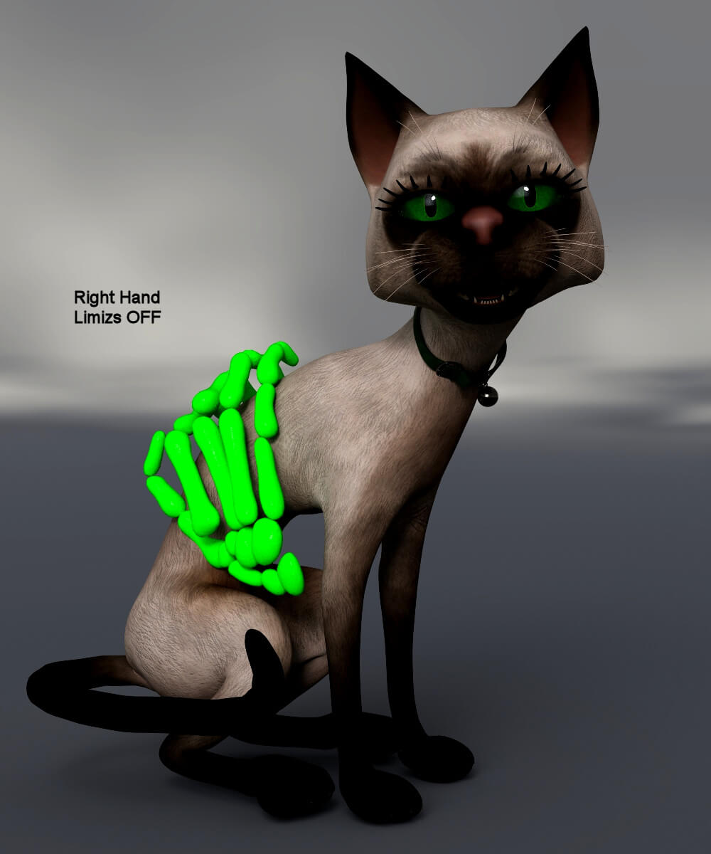 Skeleton Hands Genesis 8 / 8.1 Female Daz Content