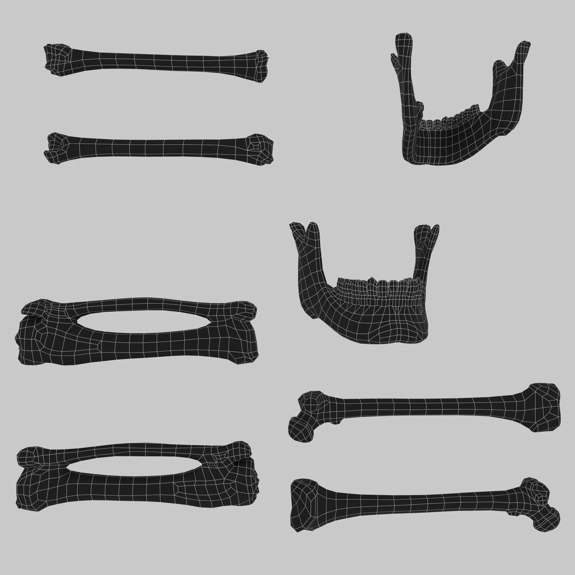 Bones Skulls and Stone Pile 3D Model