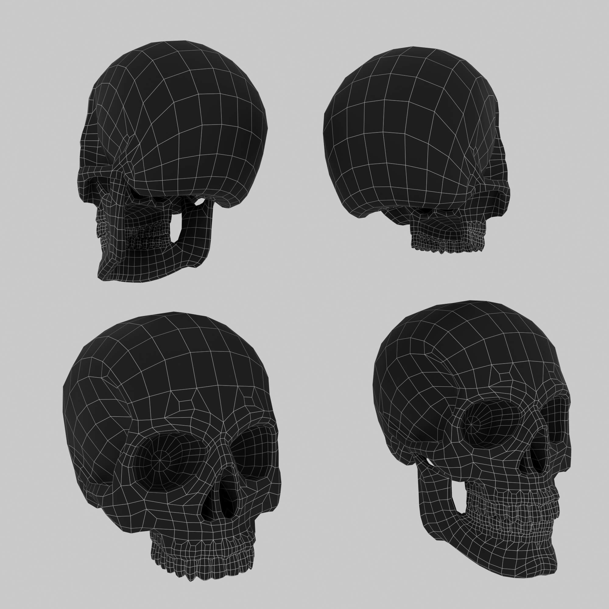 Bones Skulls and Stone Pile 3D Model