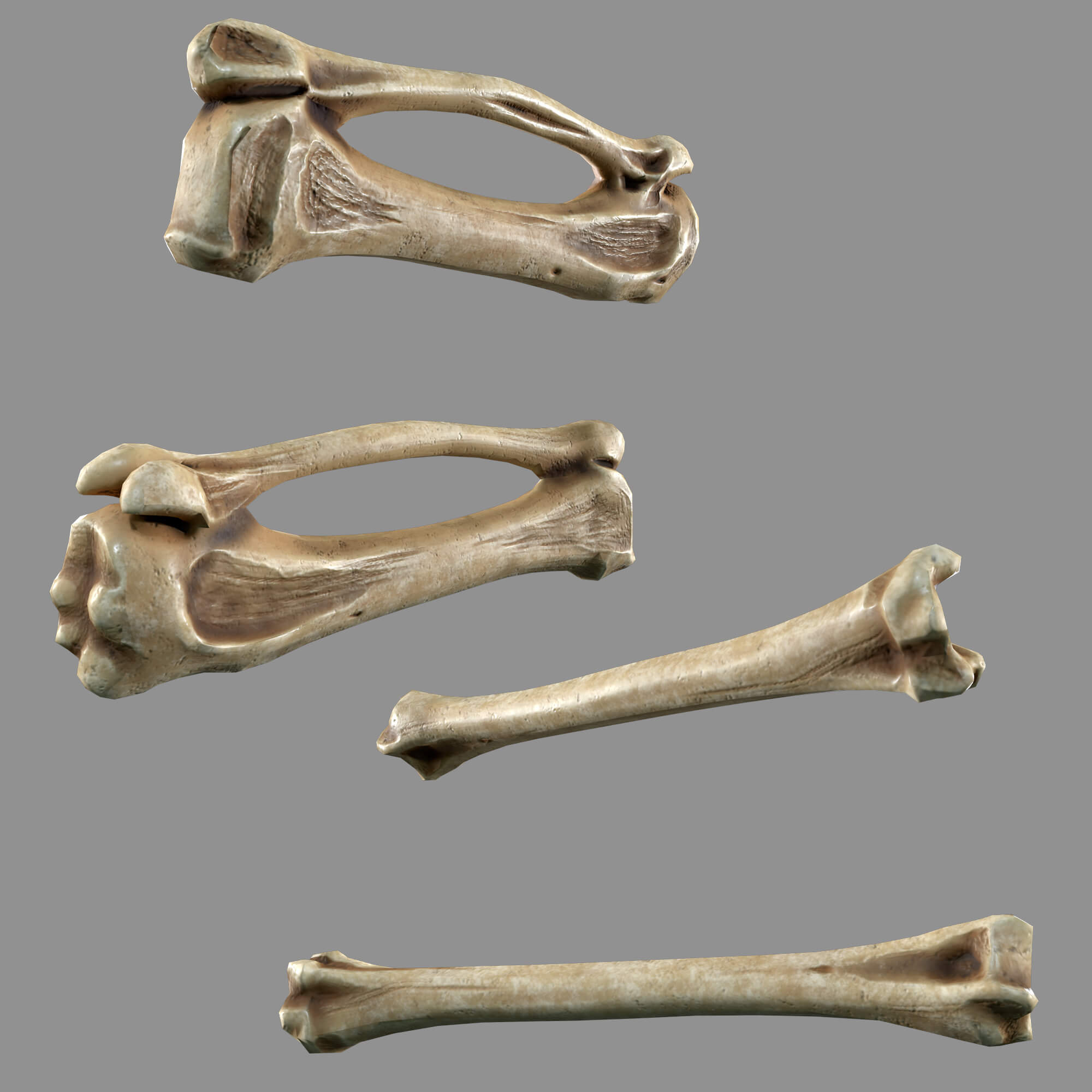 Bones Skulls and Stone Pile 3D Model