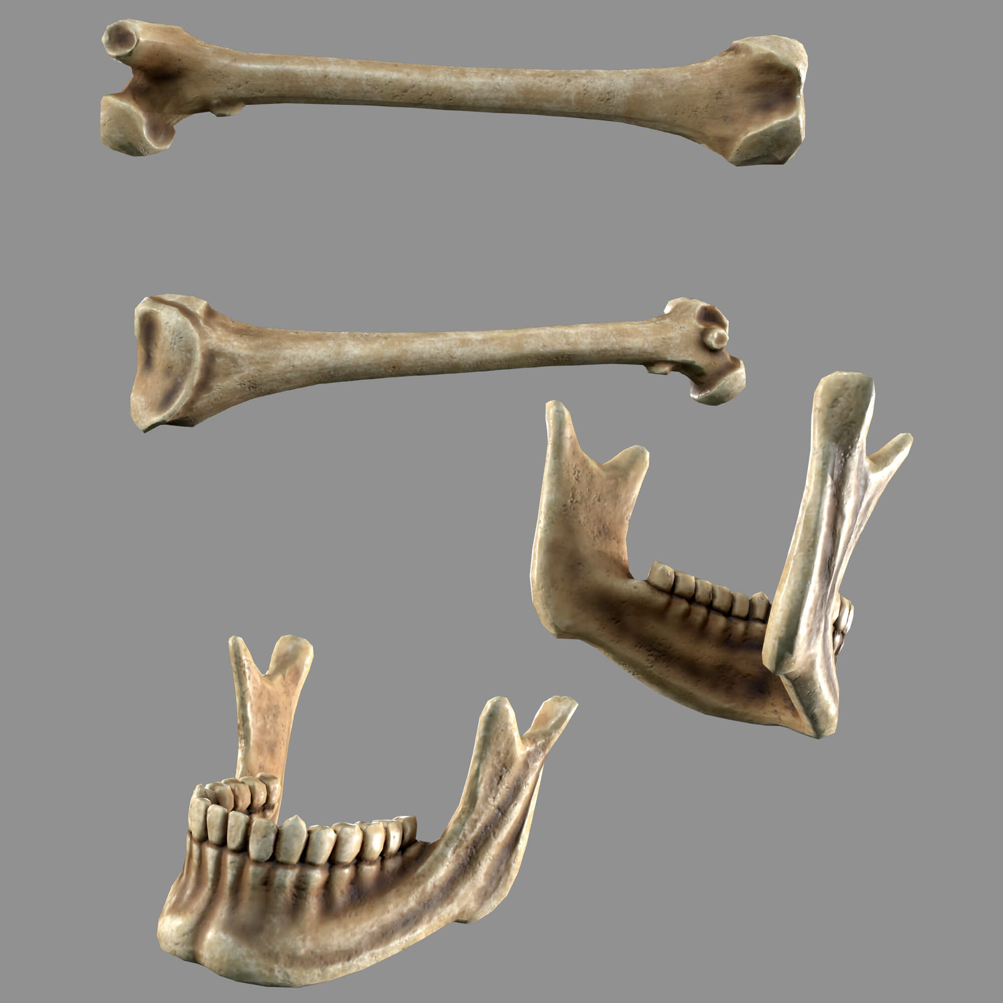 Bones Skulls and Stone Pile 3D Model