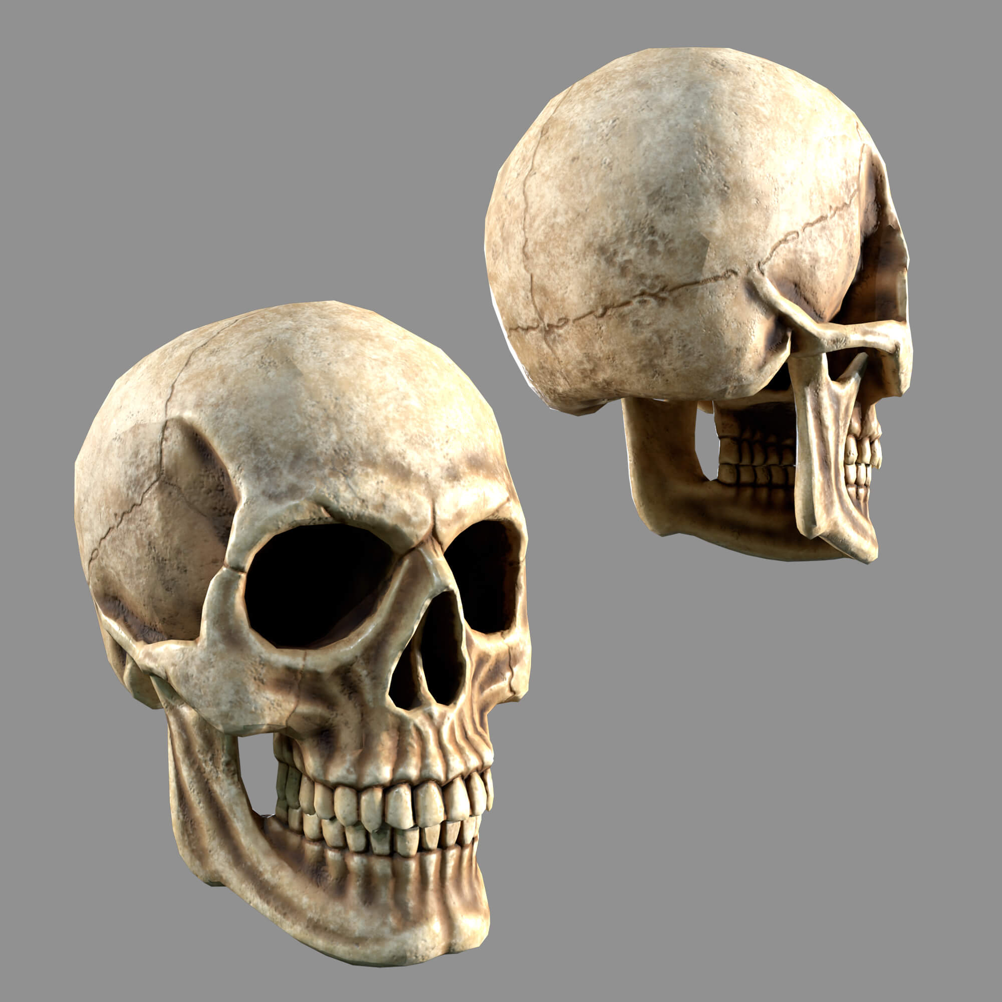Bones Skulls and Stone Pile 3D Model