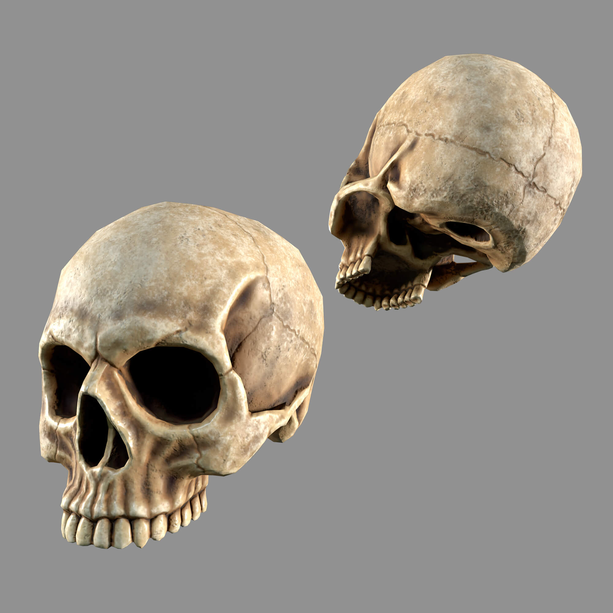 Bones Skulls and Stone Pile 3D Model