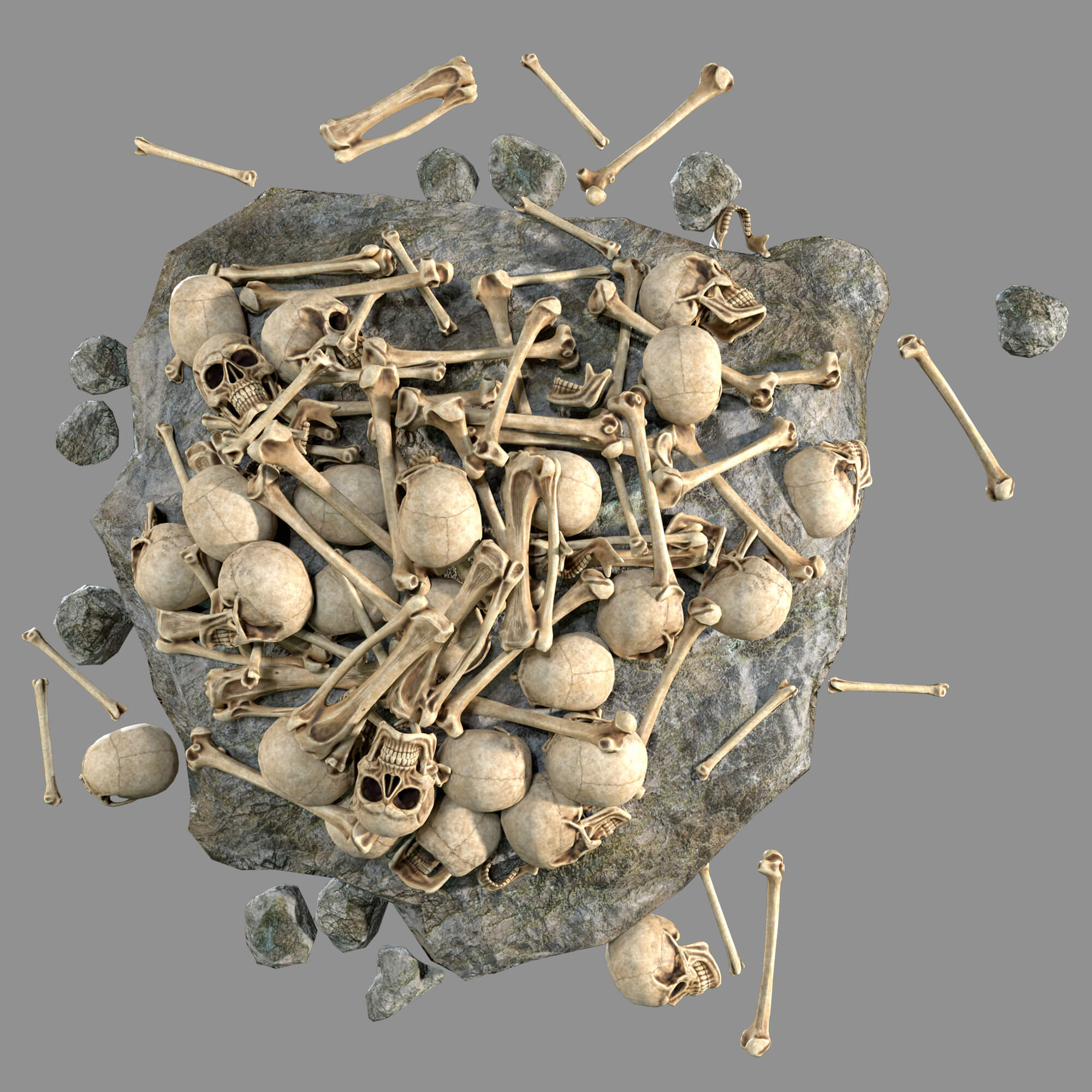 A Collection of Realistic Skulls Bones Rocks 3D Render, Digital Artwork by KaterynaBondarenko