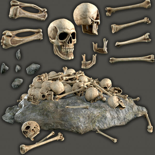 A Collection of Realistic Skulls Bones Rocks
