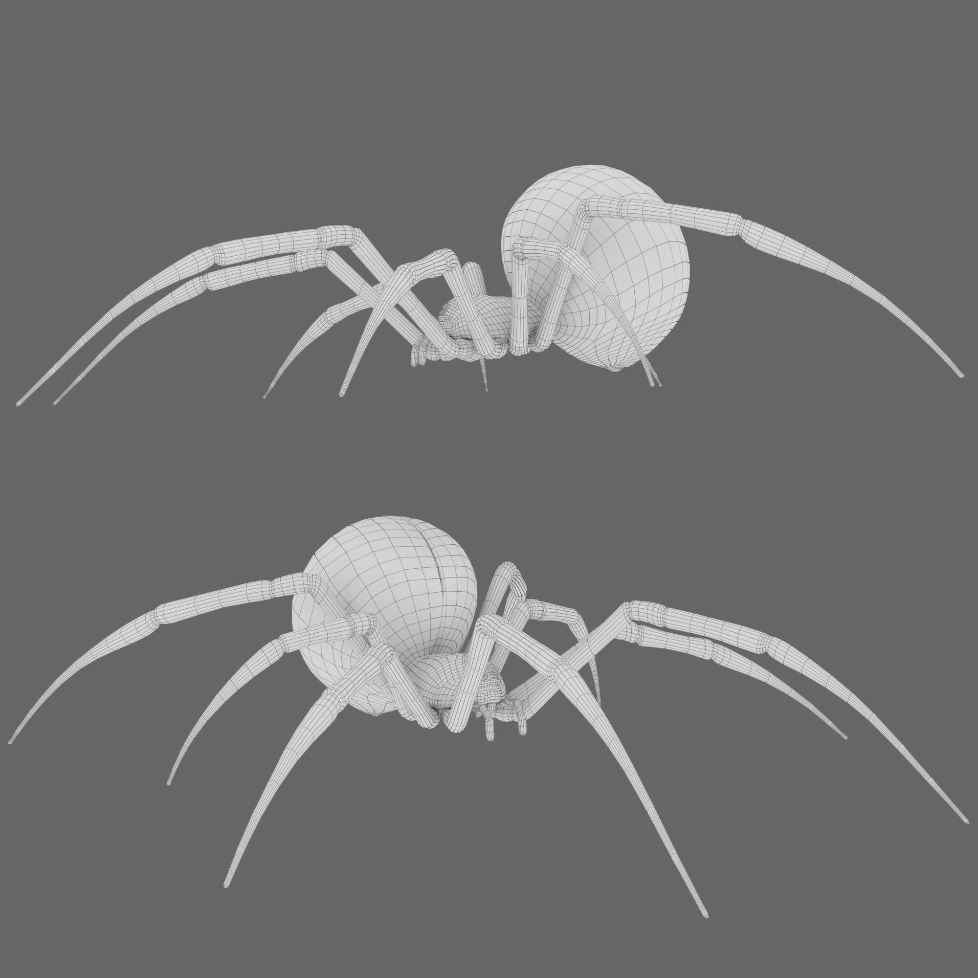 Rigged Black Widow Spider With an Animated Eyeball 3D Render, Digital Artwork by KaterynaBondarenko