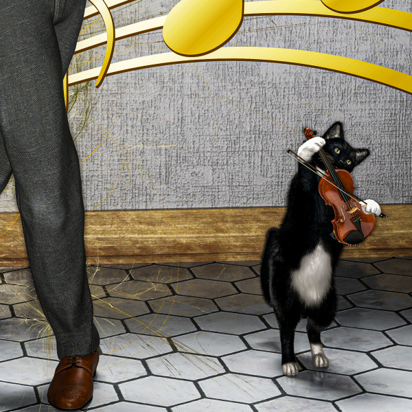 The Cat and the Fiddle