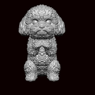 Bichon Fries Begging Pose