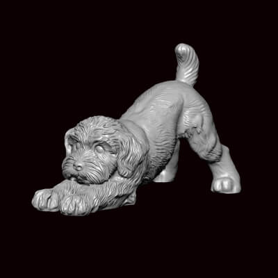 Black Russian Terrier Stretching Pose