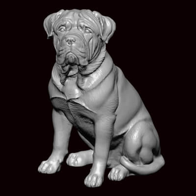 Bull Mastiff Seating Pose
