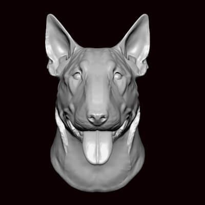 Bull Terrier Face Bust