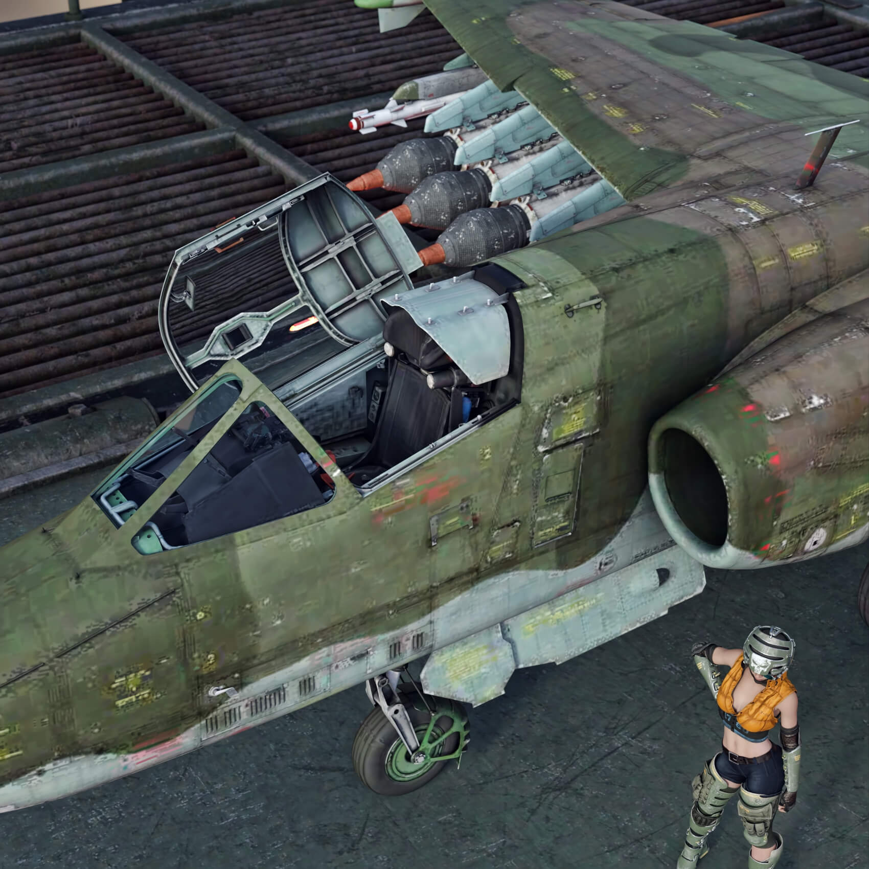 SU25K Frogfoot Plane wt for Daz3D Daz Content