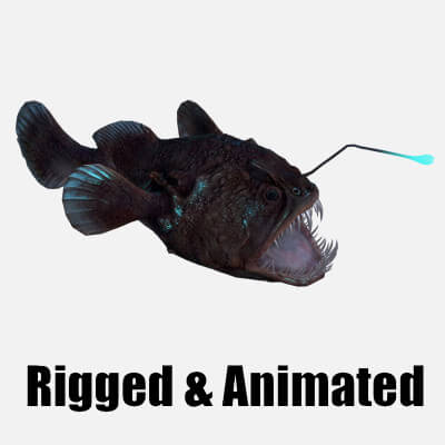 Animated Anglerfish