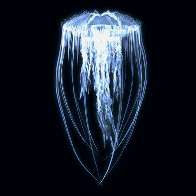 Animated Jellyfish