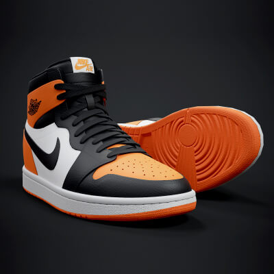 Air Jordan 1 Retro Sneaker PBR Model 6