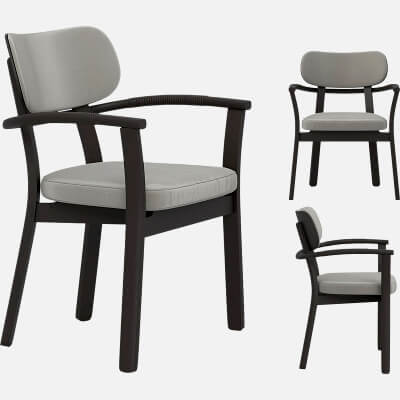 Dark Frame Gray Cushioned Armchair