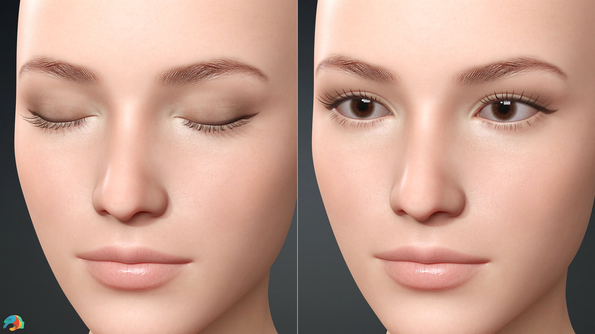 M3D K-POP Style Eyelashes for Genesis 8.1 Female/blender 3D Model