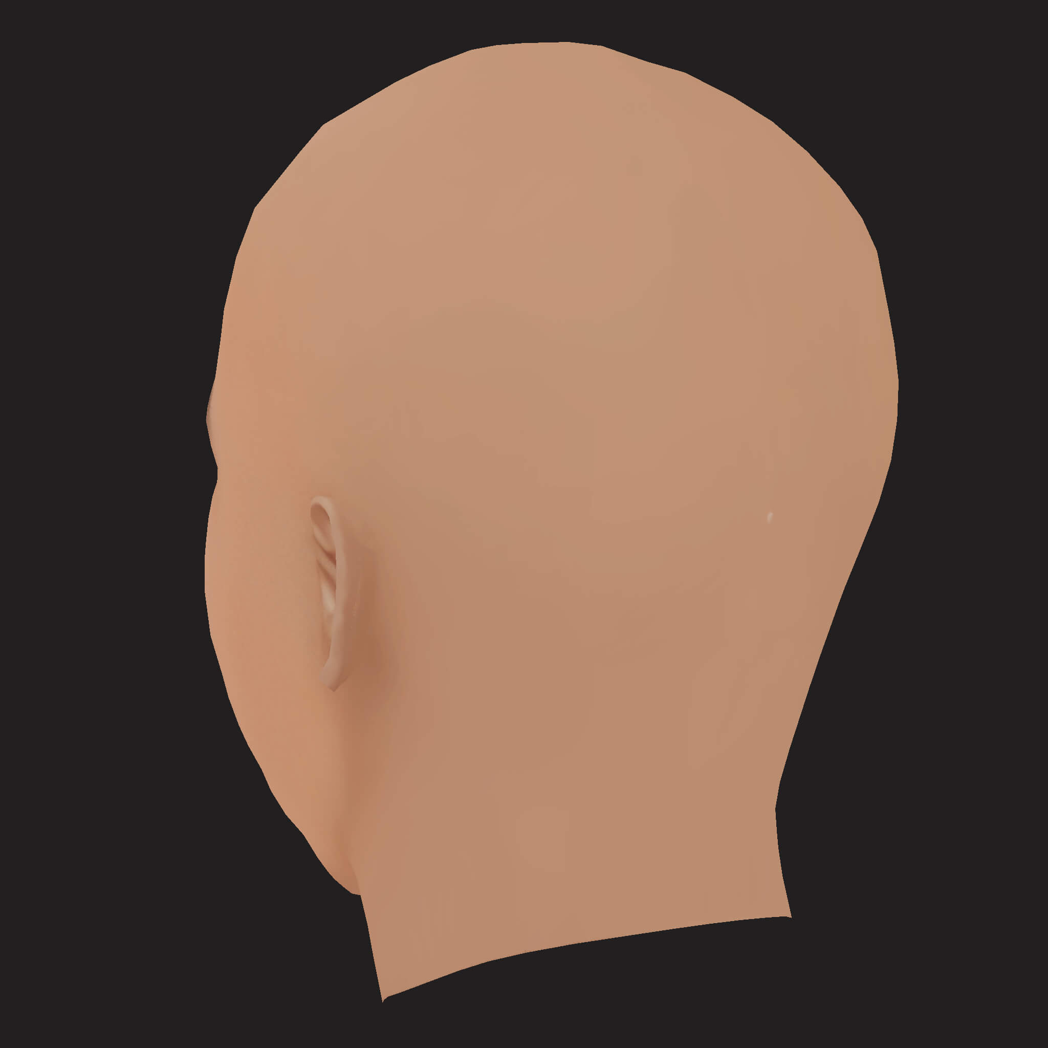 Low Poly AAP Ferg Rapper Head 3D Model