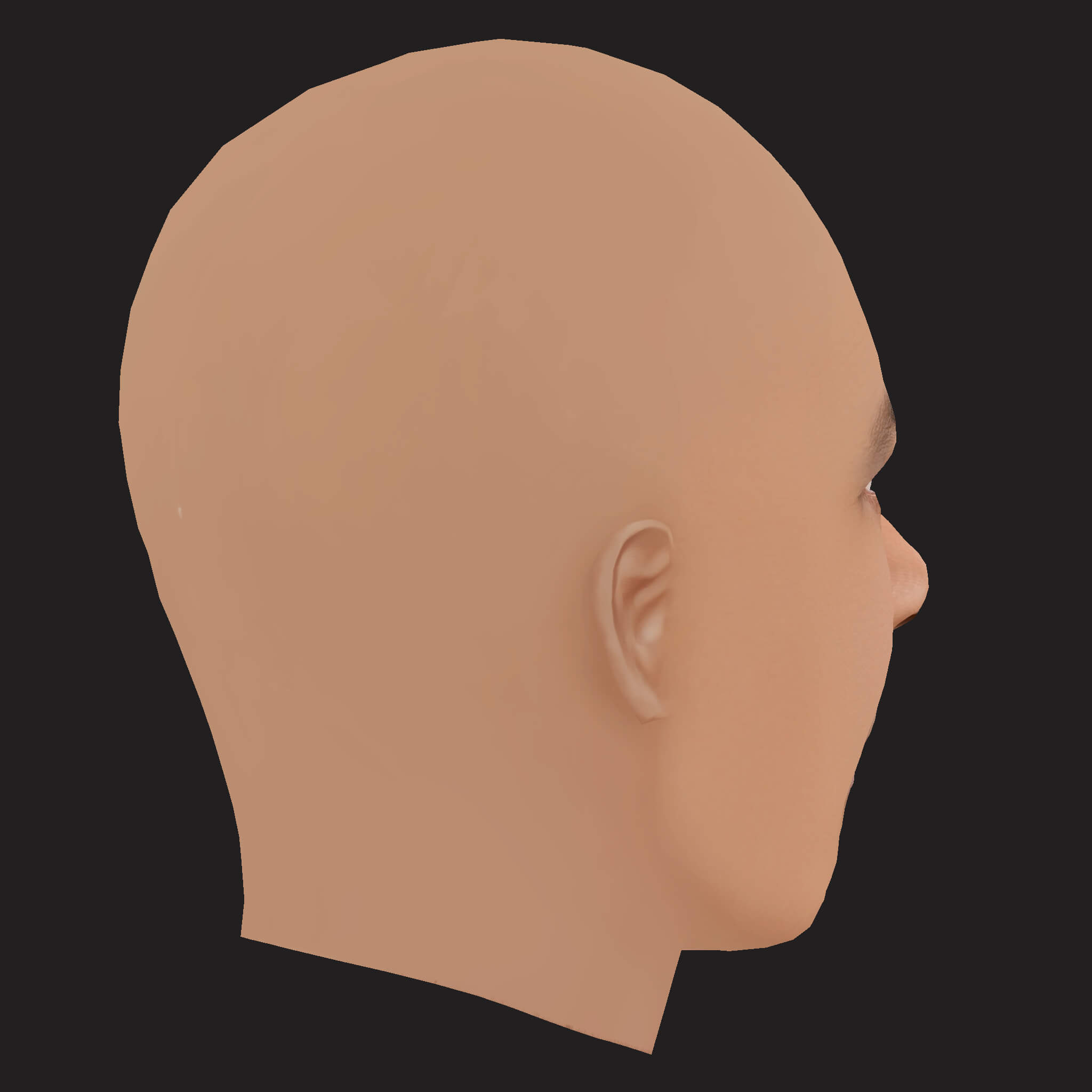 Low Poly AAP Ferg Rapper Head 3D Model