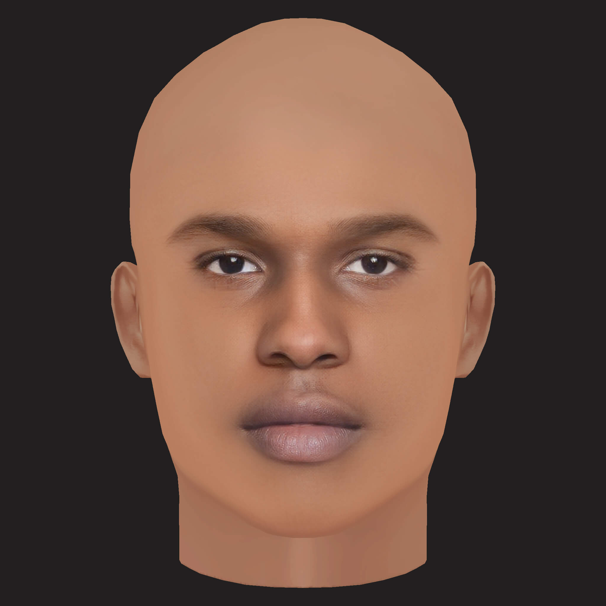 Low Poly AAP Rocky Rapper Head 3D Model