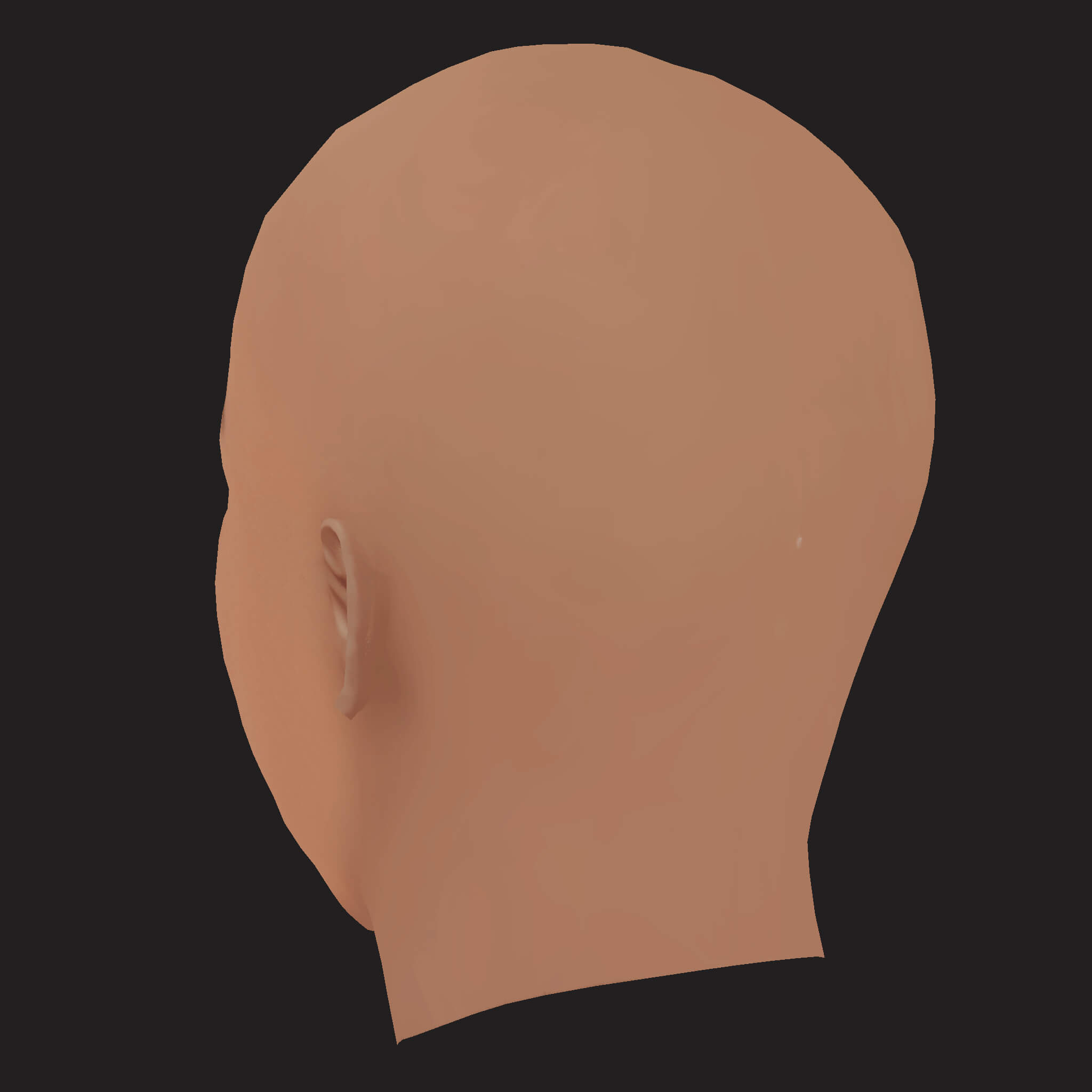 Low Poly AAP Rocky Rapper Head 3D Model