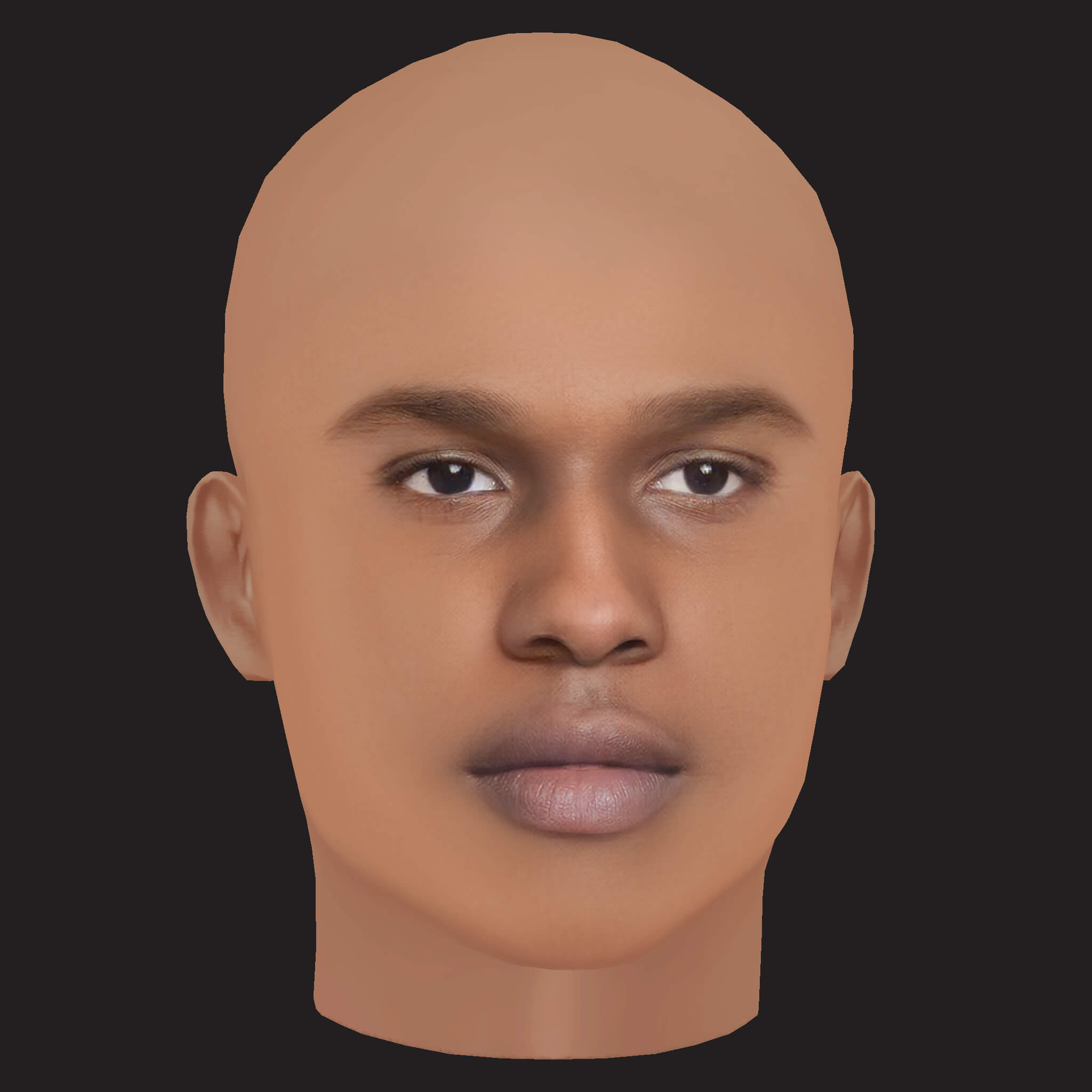 Low Poly AAP Rocky Rapper Head 3D Model
