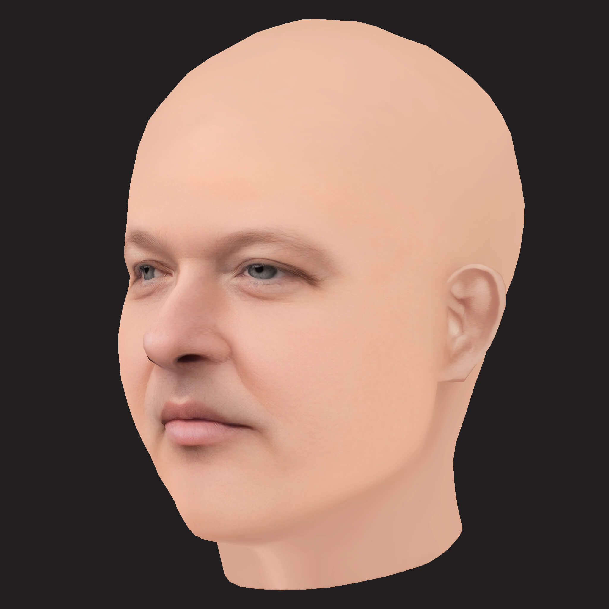 Low Poly Action Bronson Rapper Head 3D Model