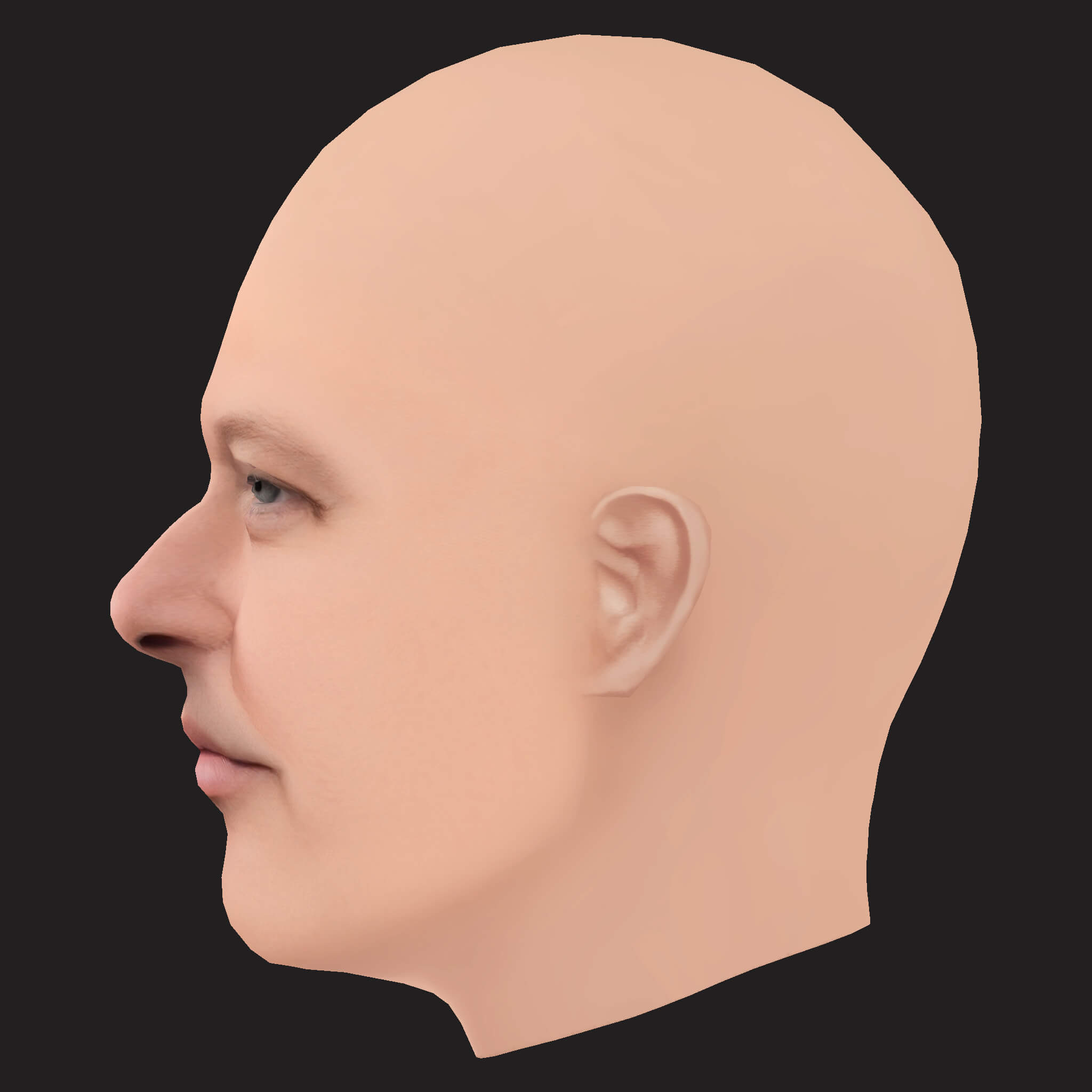 Low Poly Action Bronson Rapper Head 3D Model