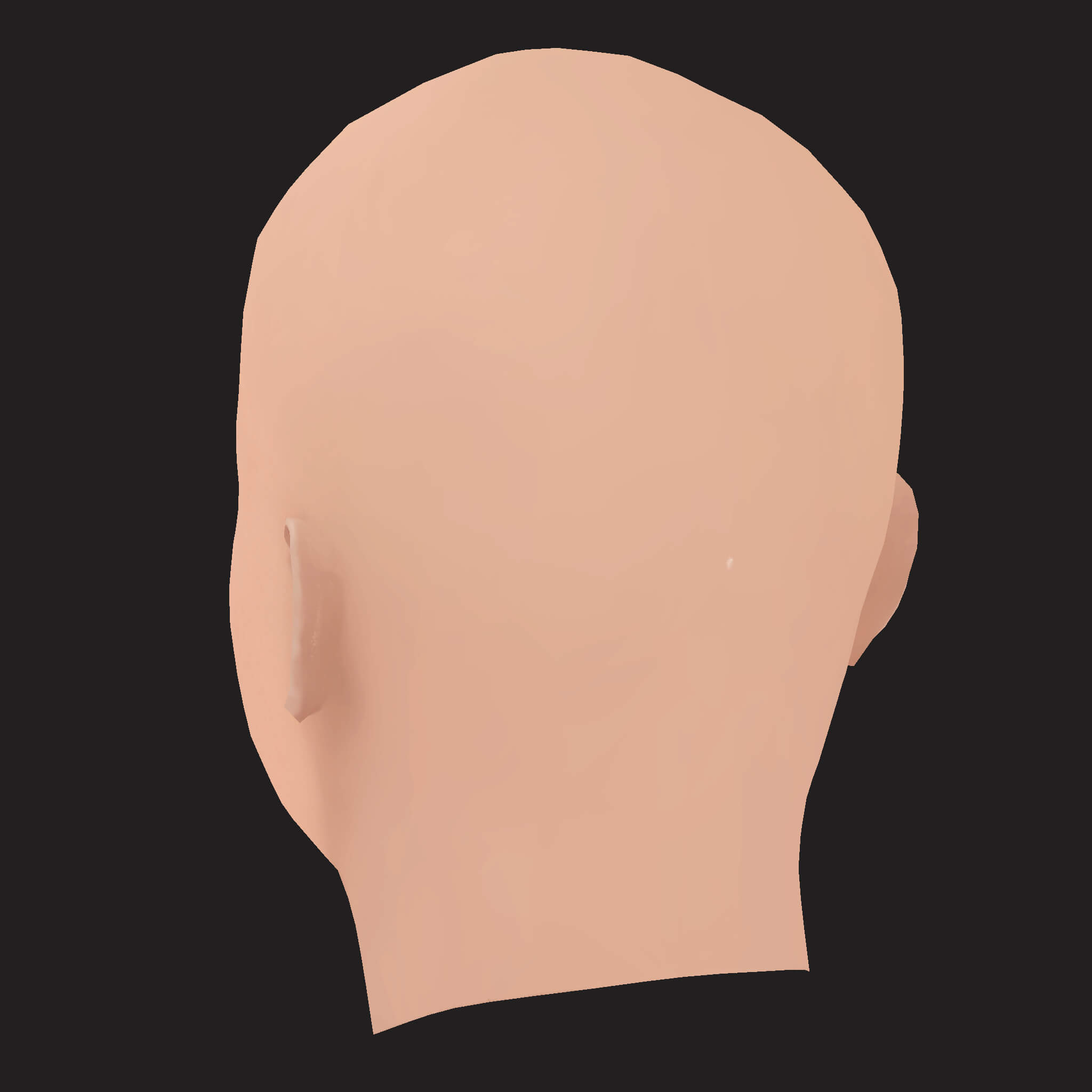 Low Poly Action Bronson Rapper Head 3D Model