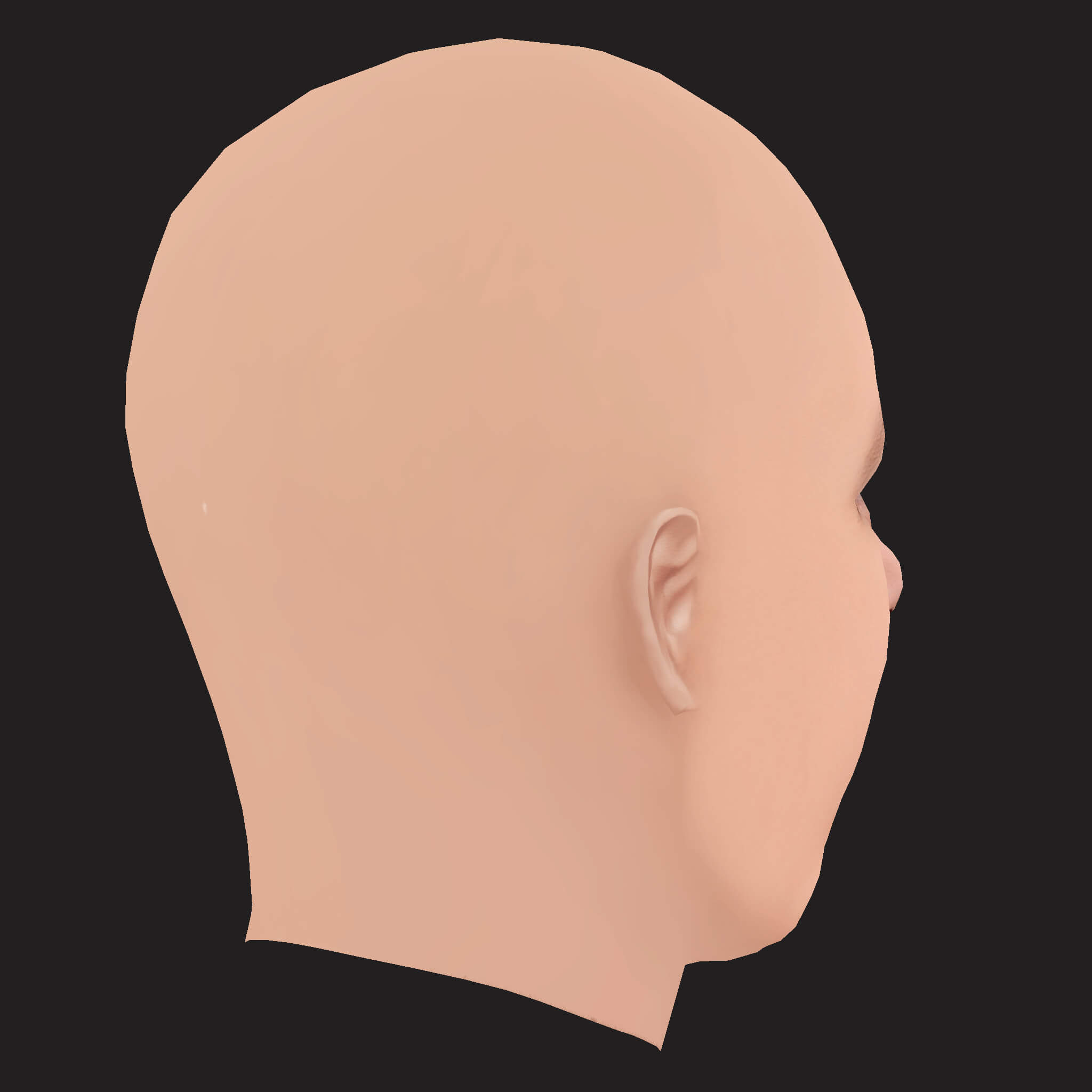 Low Poly Action Bronson Rapper Head 3D Model