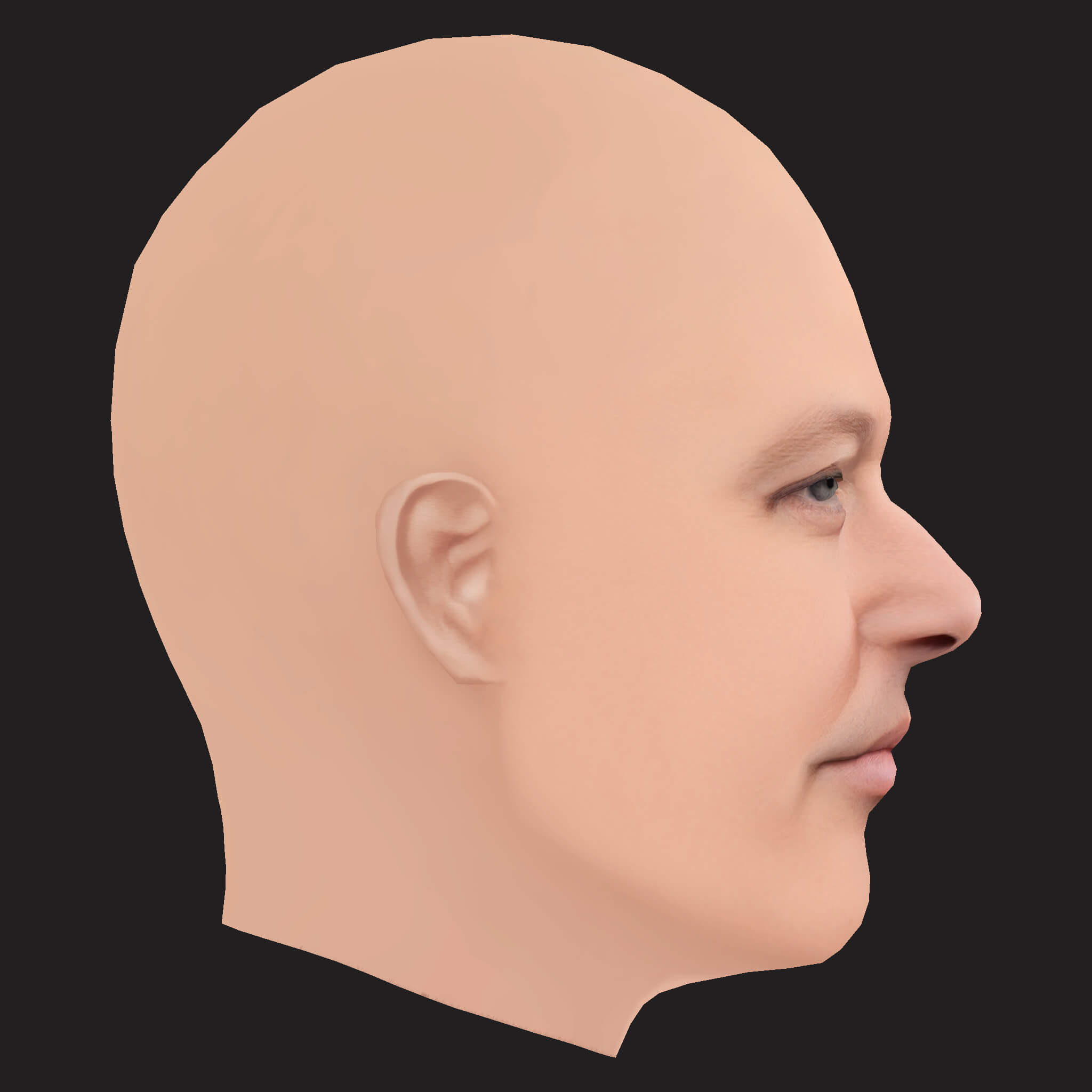 Low Poly Action Bronson Rapper Head 3D Model
