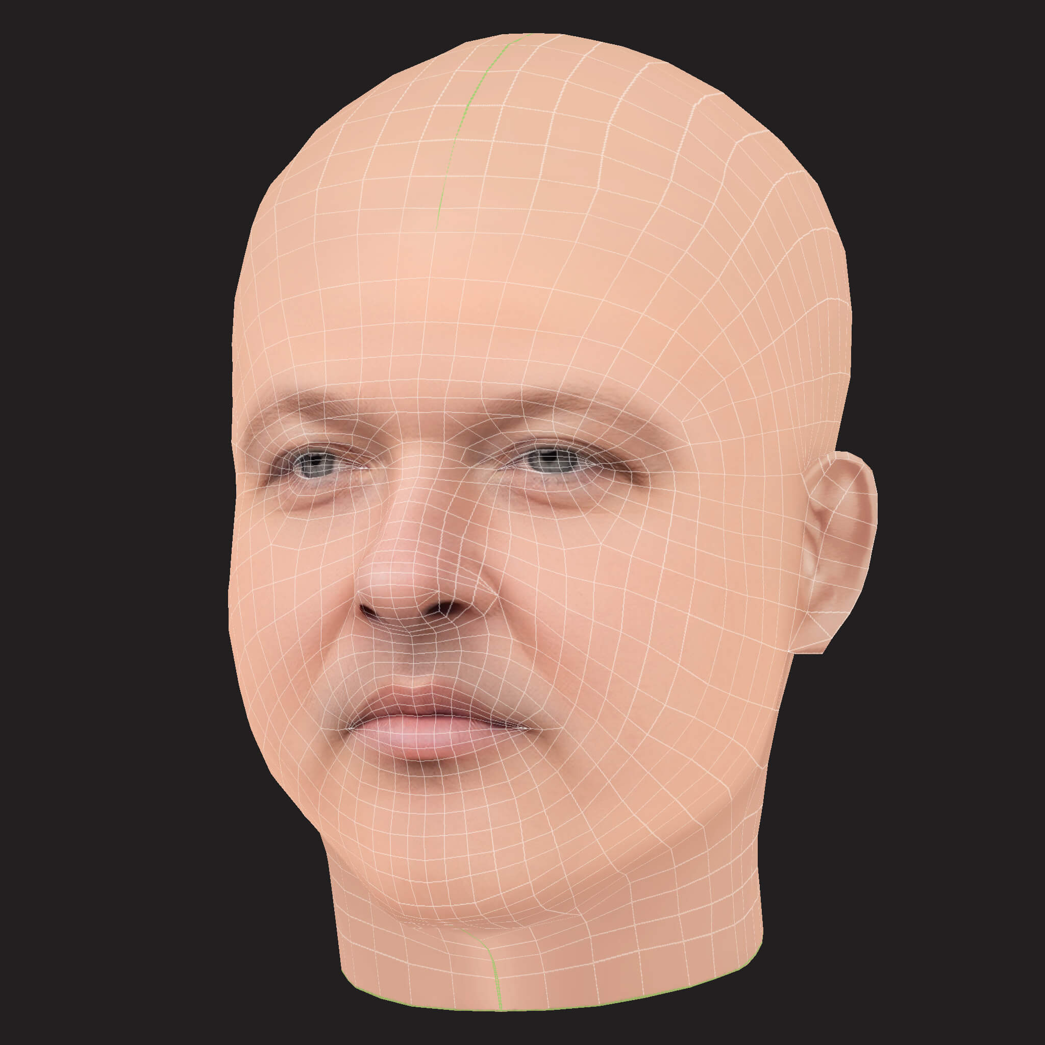 Low Poly Action Bronson Rapper Head 3D Model