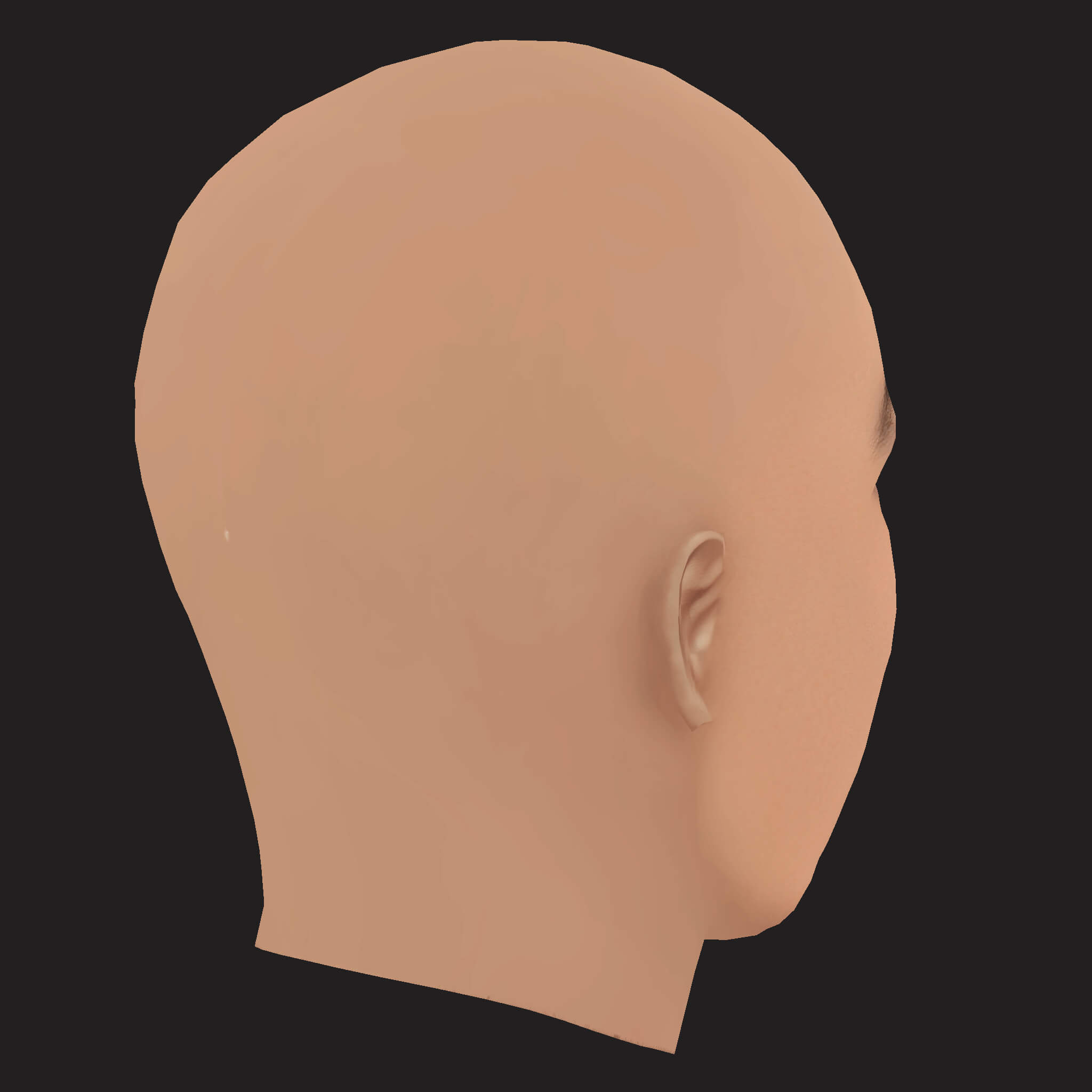 Low Poly Big Sean Rapper Head 3D Model