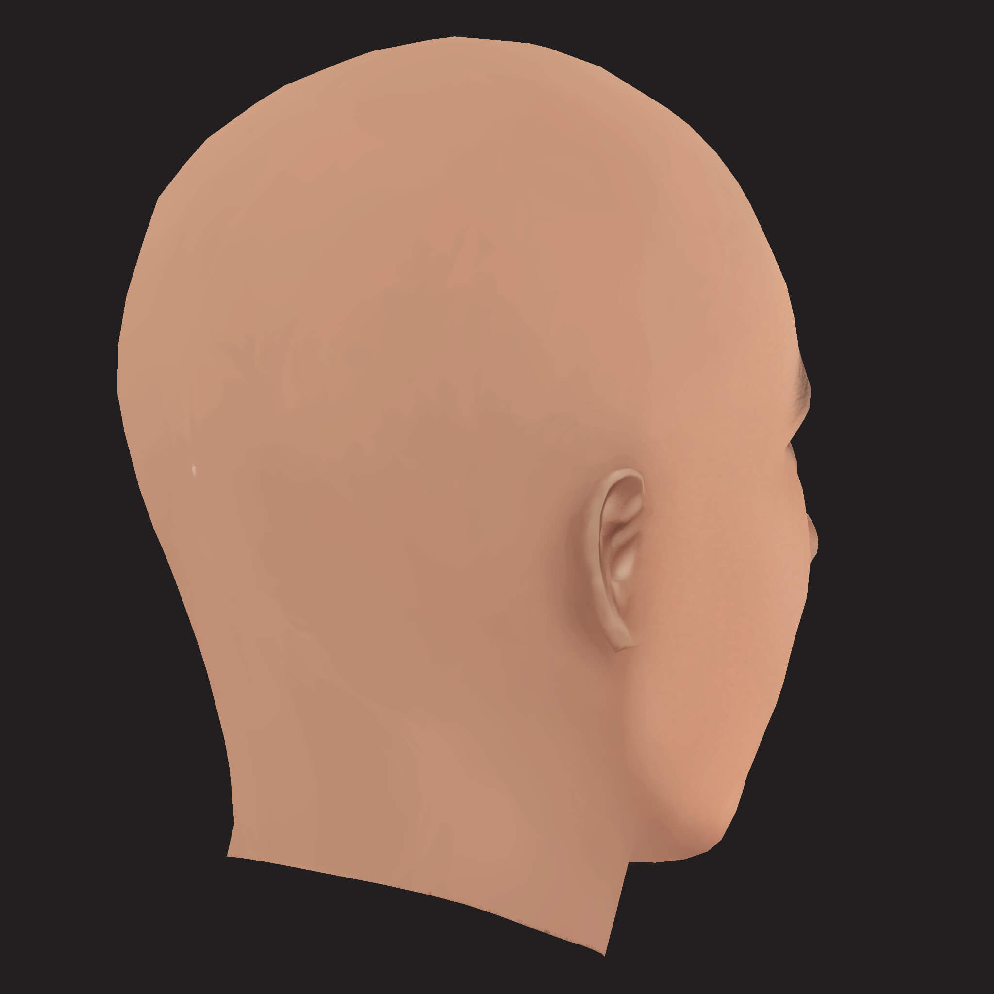 Low Poly Cassper Nyovest Rapper Head 3D Model