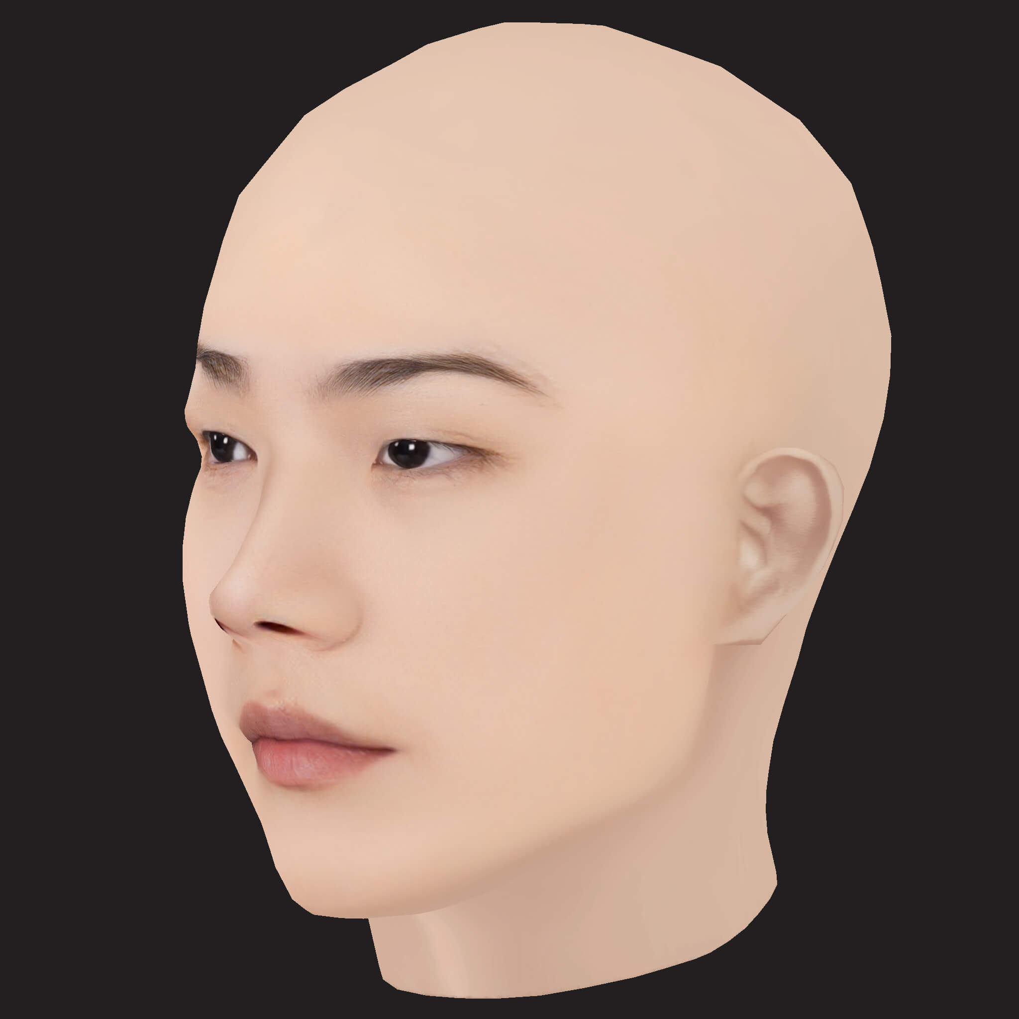 Low Poly Changmo Rapper Head 3D Model