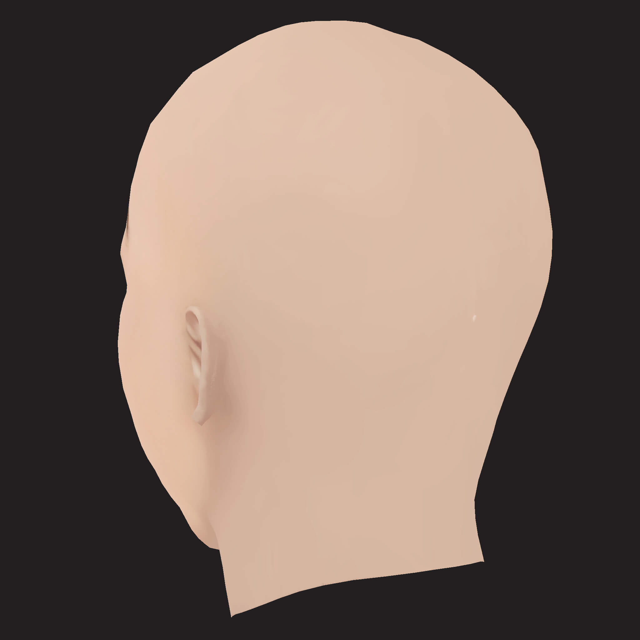 Low Poly Changmo Rapper Head 3D Model