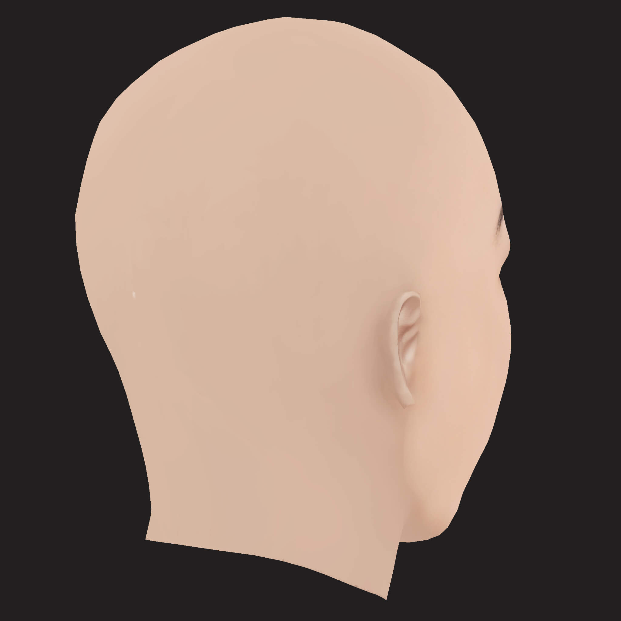 Low Poly Changmo Rapper Head 3D Model