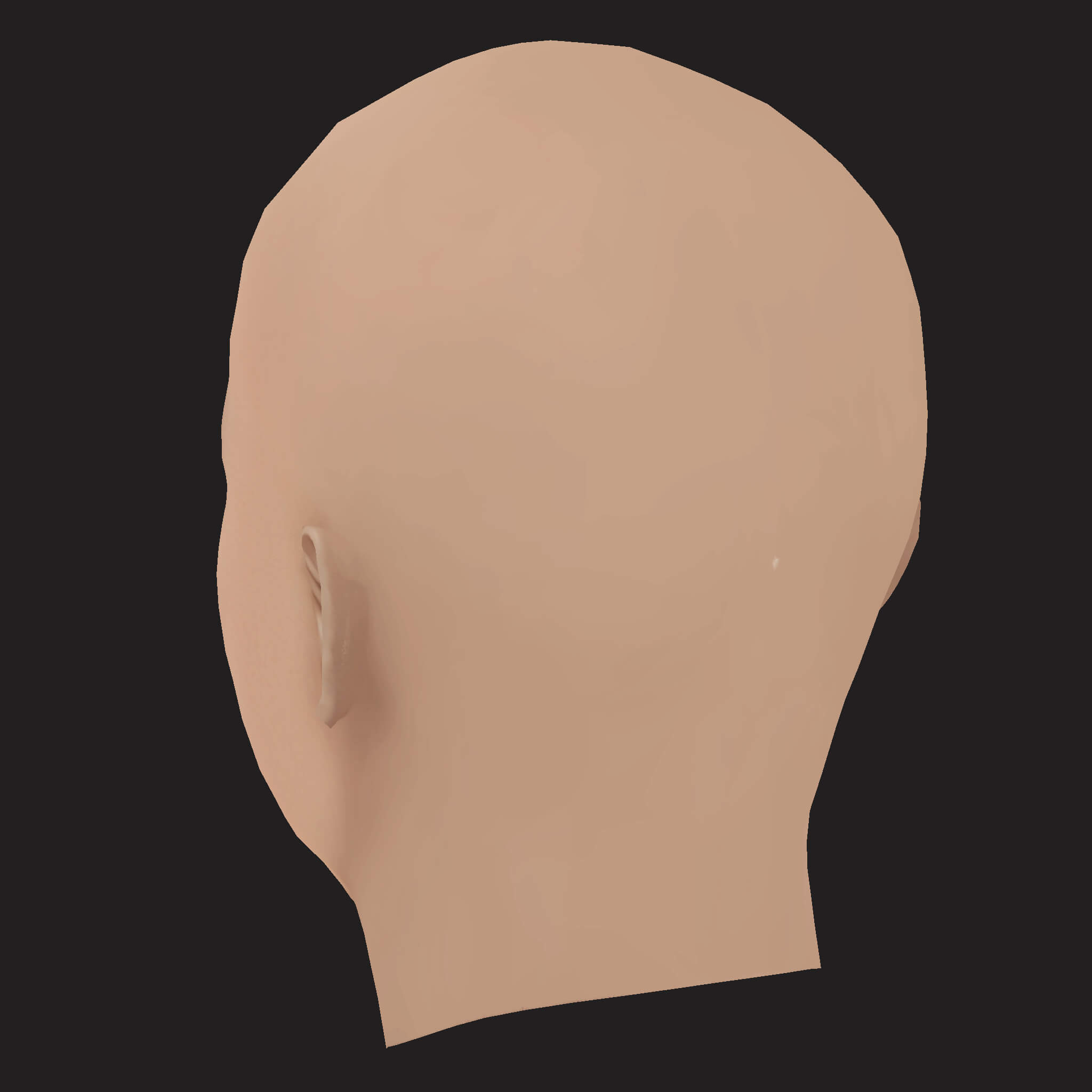Low Poly Danny Brown Rapper Head 3D Model