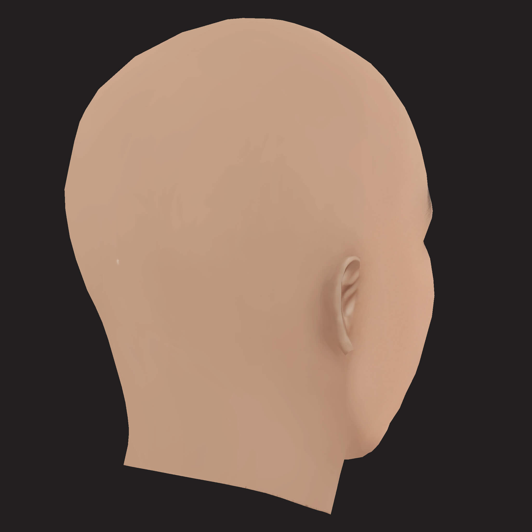 Low Poly Danny Brown Rapper Head 3D Model