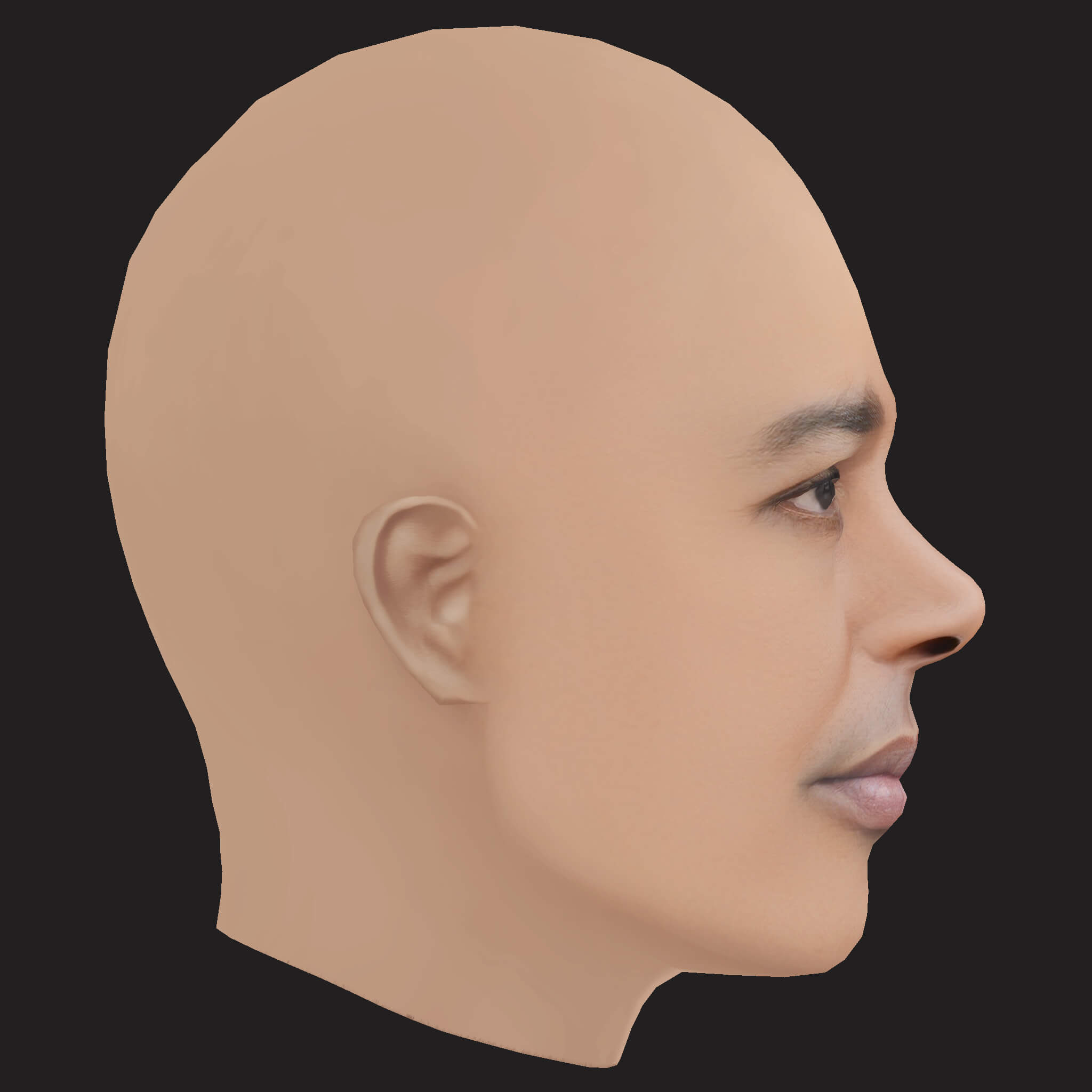 Low Poly Danny Brown Rapper Head 3D Model