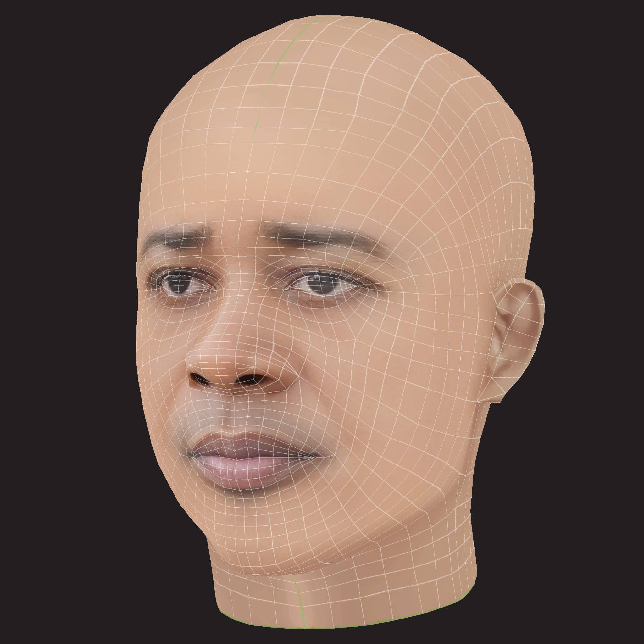 Low Poly Danny Brown Rapper Head 3D Model
