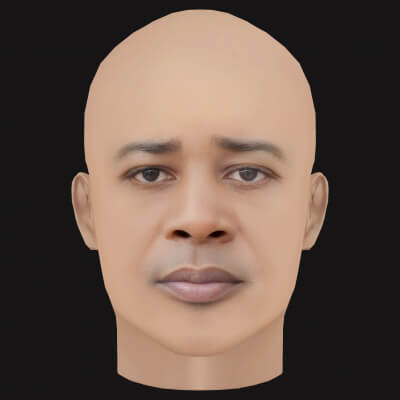 Low Poly Danny Brown Rapper Head