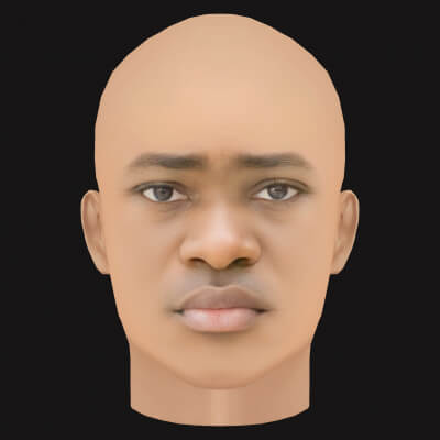 Low Poly Dave Rapper Head
