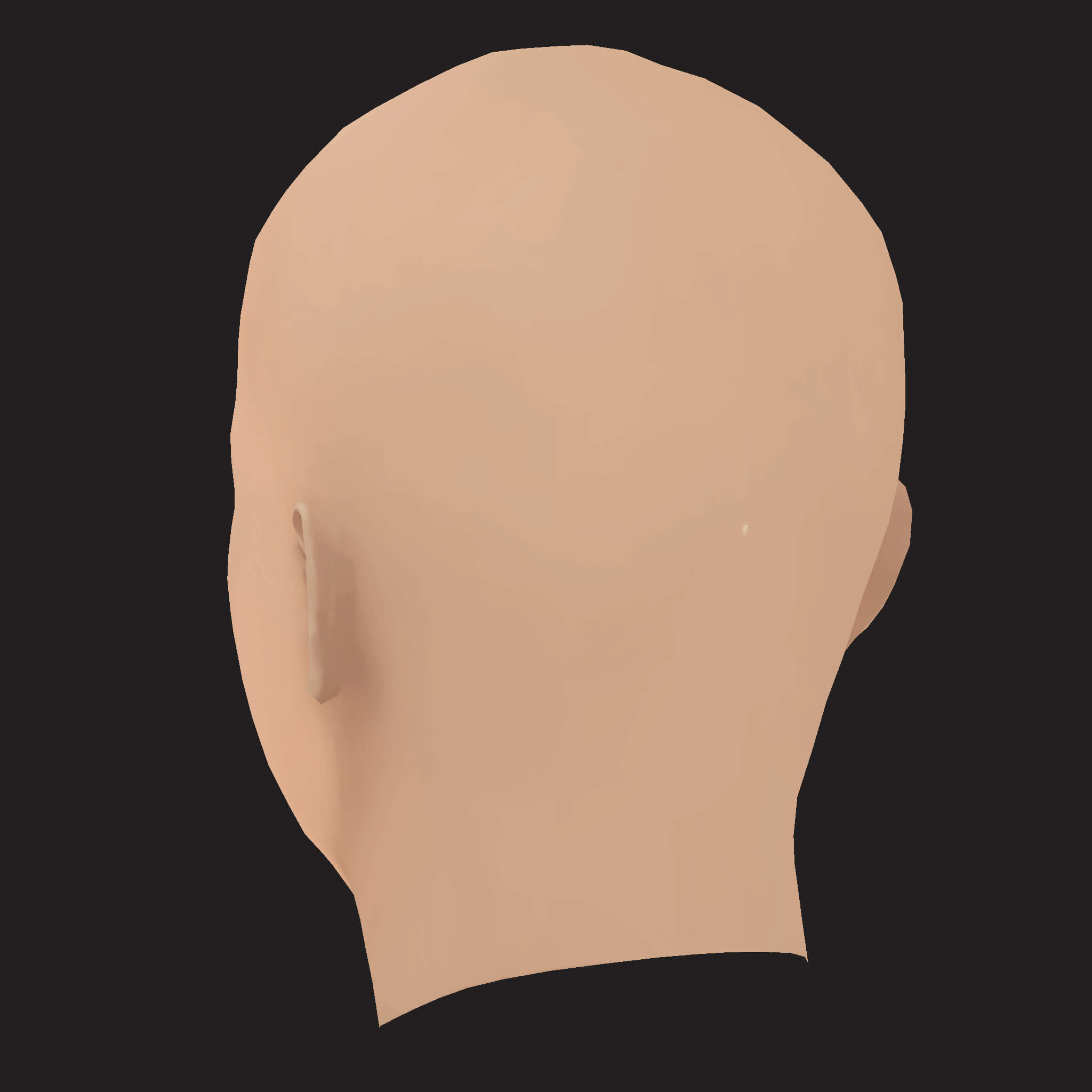 Low Poly Denzel Curry Rapper Head 3D Model