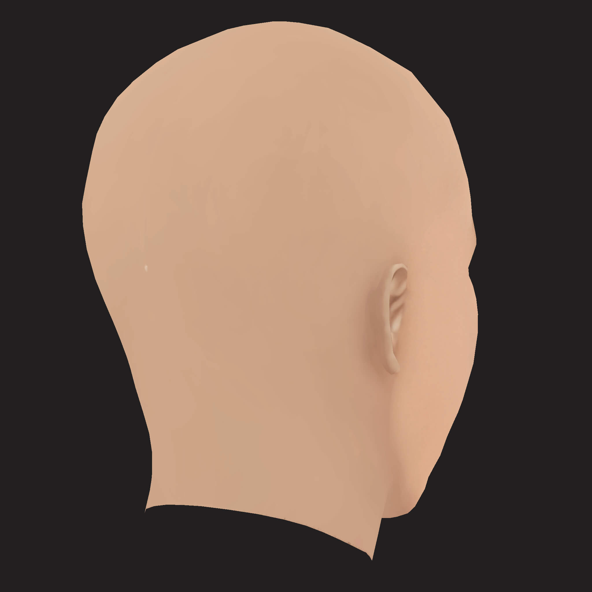Low Poly Denzel Curry Rapper Head 3D Model