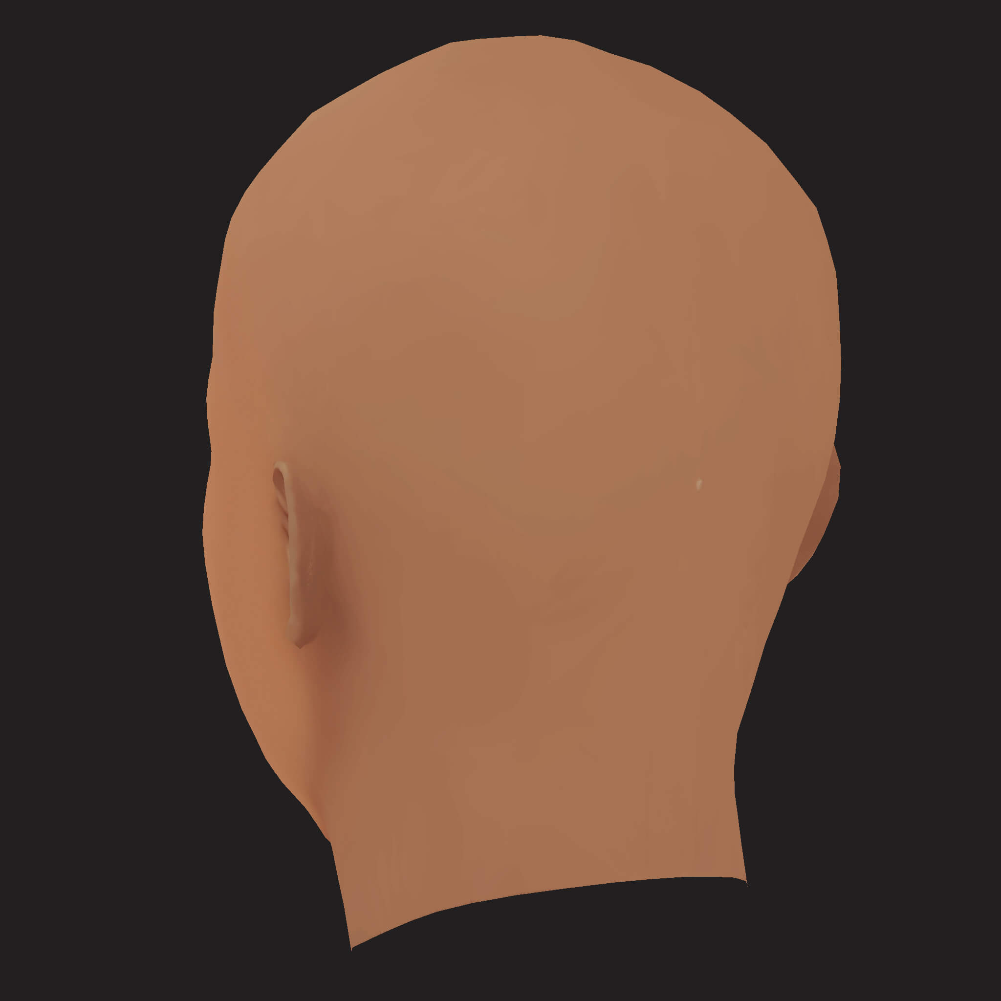 Low Poly Don Toliver Rapper Head 3D Model